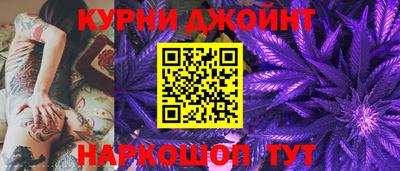стафф Гусев